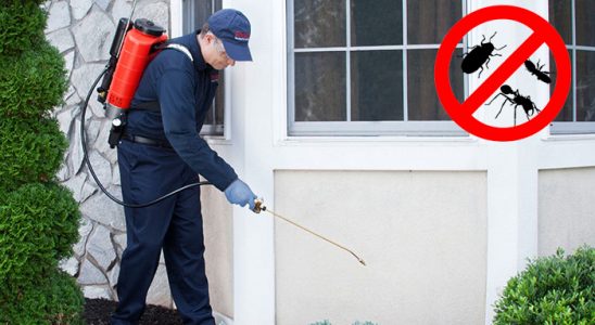 Bozüyük Gümüşkurt İlaçlama böcek ilaçlama ve haşere kontrolü — ilaclama-tr.com